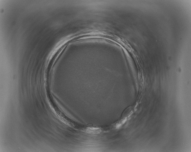 X0000083650055200702261126