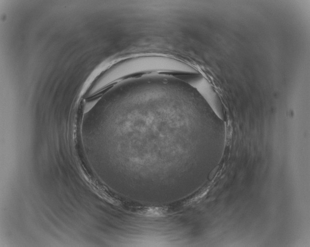 X0000083650056200702261126