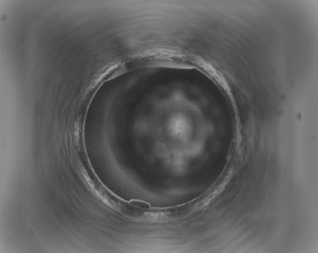 X0000083650057200702261126