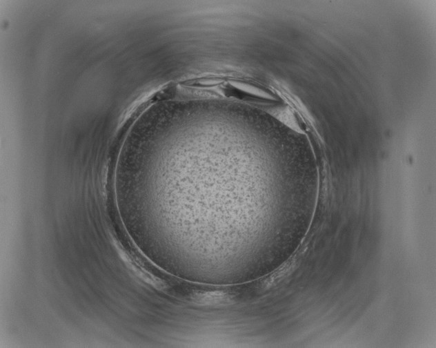 X0000083650058200702261126