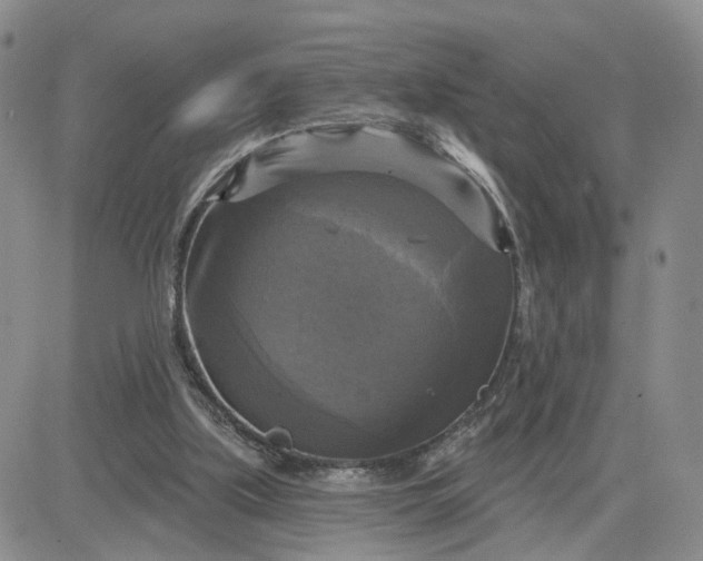 X0000083650059200702261126