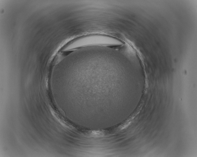 X0000083650060200702261127