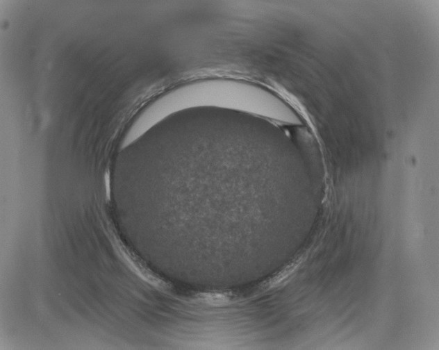 X0000083650061200702261127