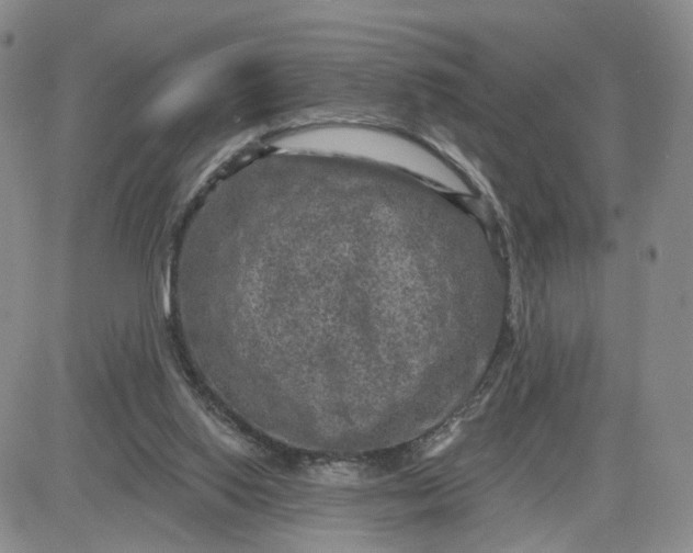 X0000083650062200702261127