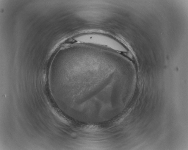 X0000083650063200702261127