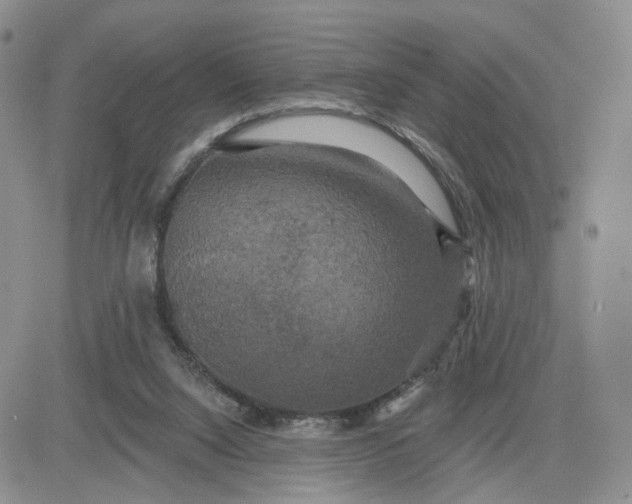 X0000083650064200702261127