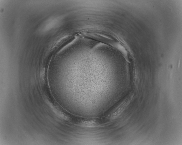 X0000083650066200702261127