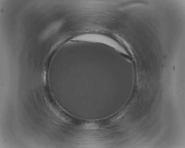 X0000083650067200702261127