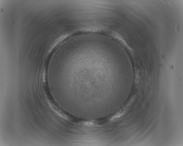 X0000083650068200702261127