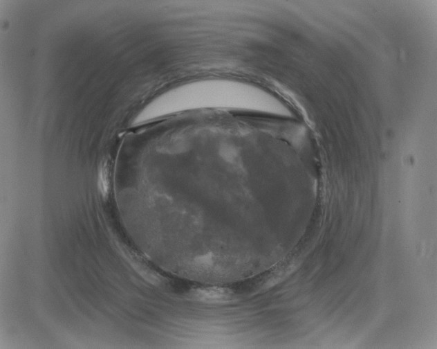 X0000083650069200702261127