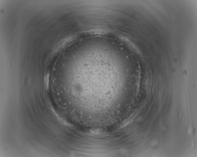 X0000083650070200702261127