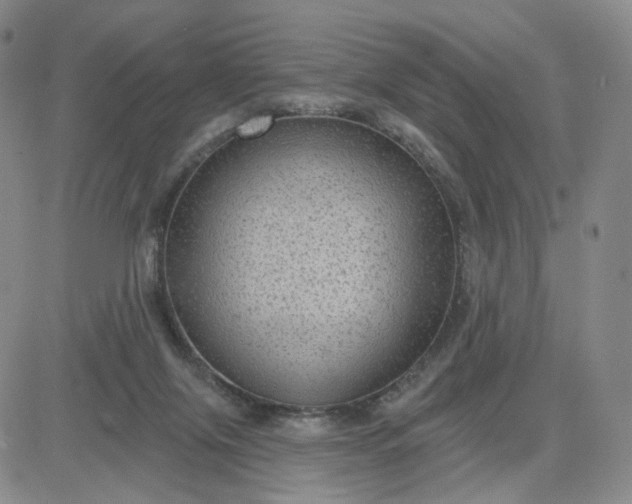 X0000083650071200702261127