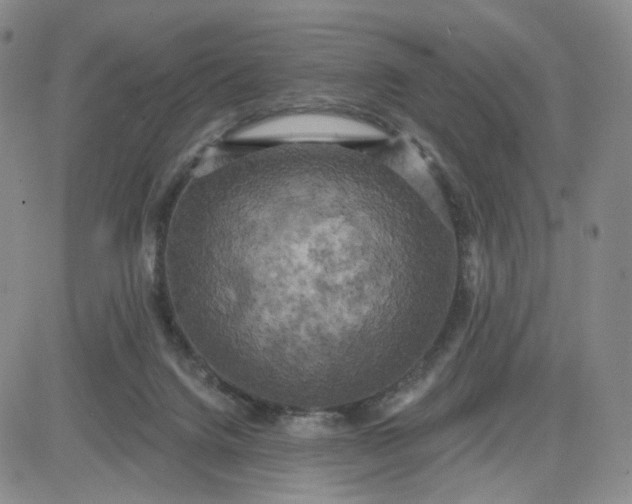 X0000083650072200702261127