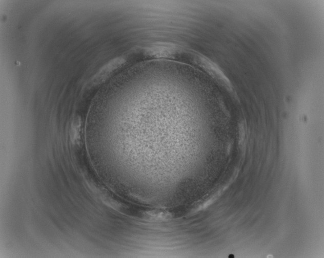 X0000083650073200702261127