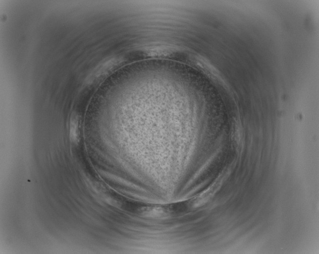 X0000083650074200702261127