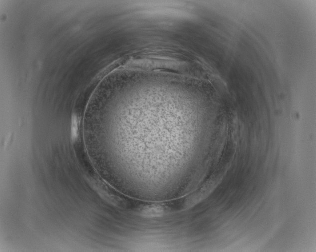 X0000083650075200702261127