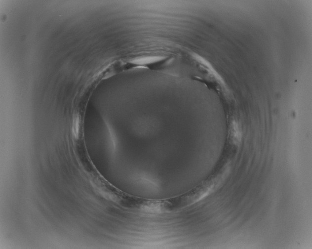 X0000083650076200702261127