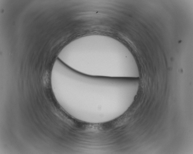 X0000083650077200702261127