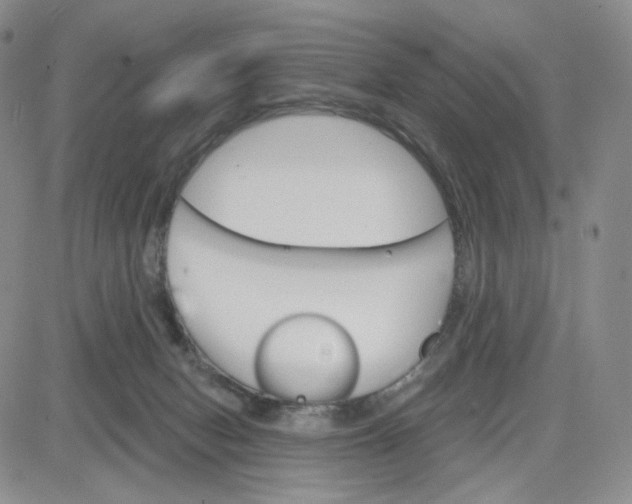 X0000083650078200702261127