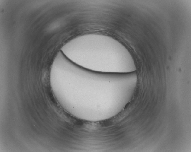 X0000083650079200702261127