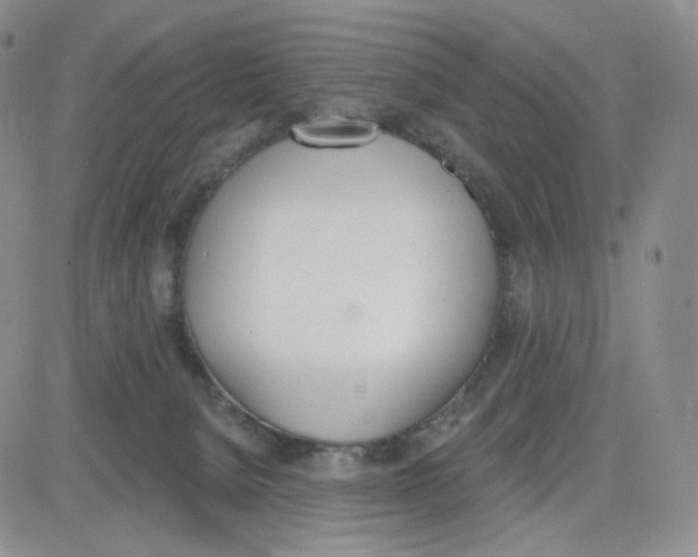 X0000083650080200702261127