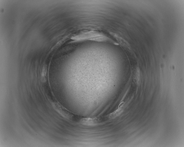 X0000083650082200702261127