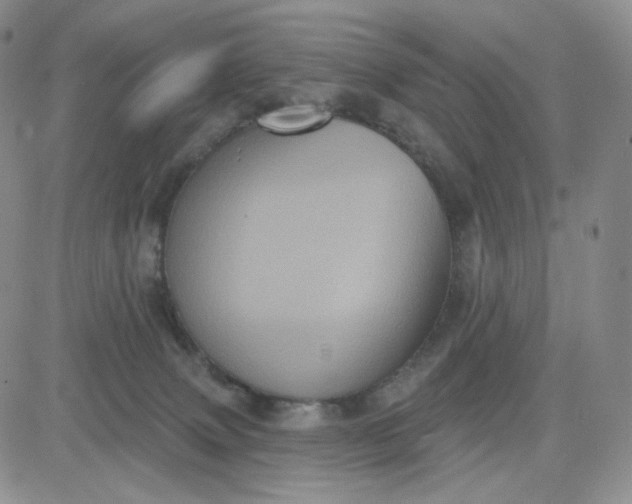 X0000083650083200702261127