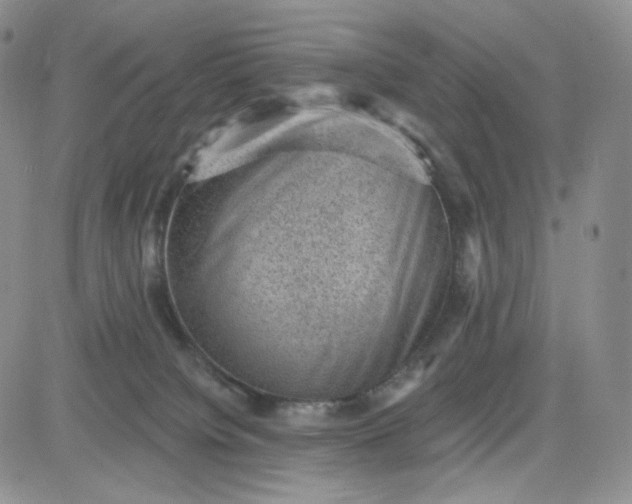 X0000083650084200702261127