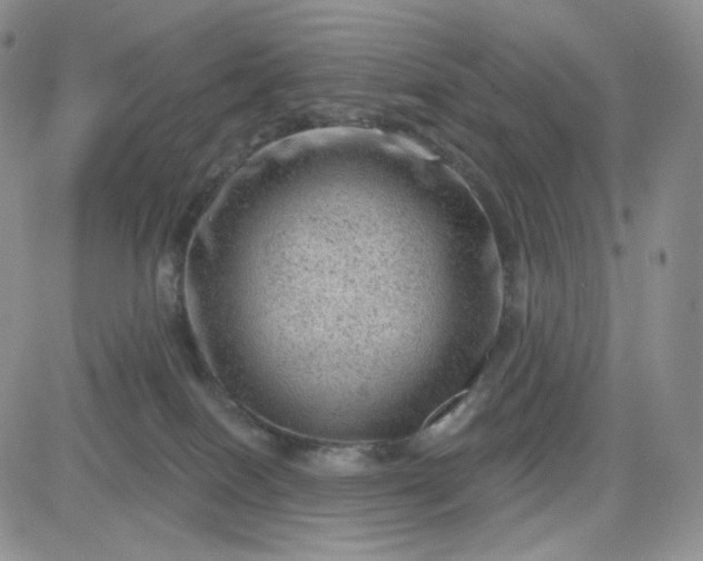 X0000083650086200702261127