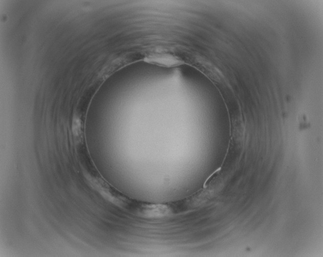 X0000083650087200702261127