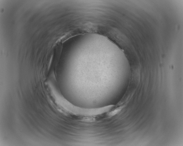 X0000083650088200702261127