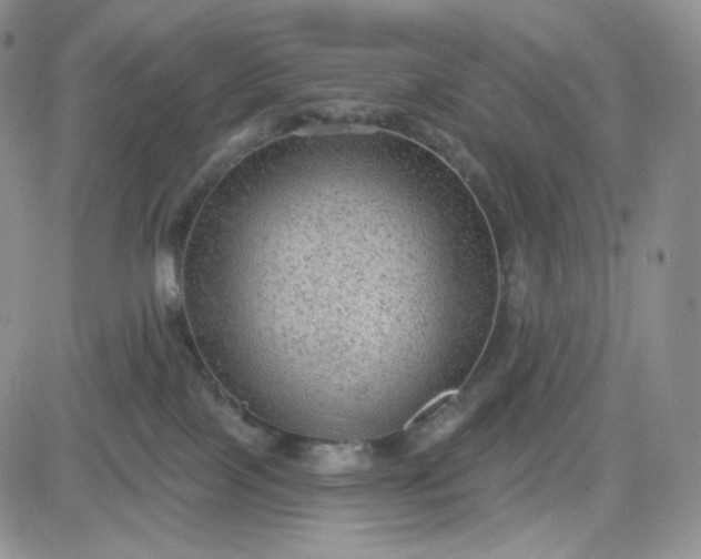 X0000083650089200702261127