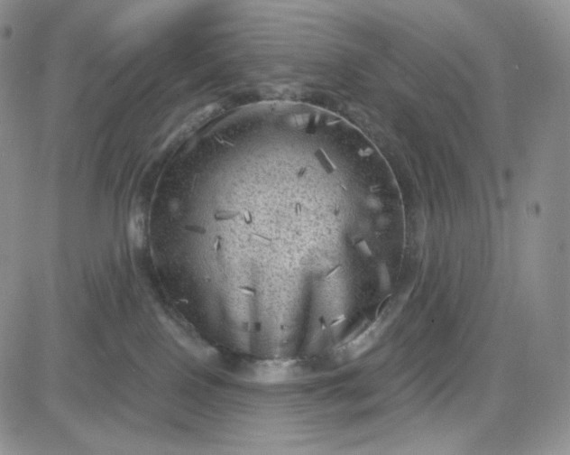 X0000083650090200702261127