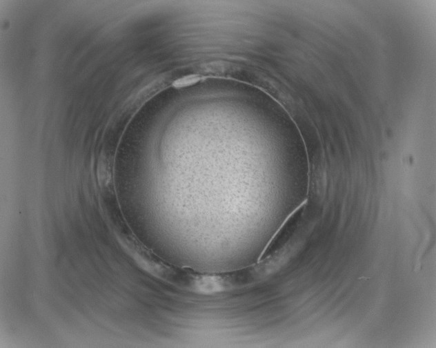 X0000083650091200702261127