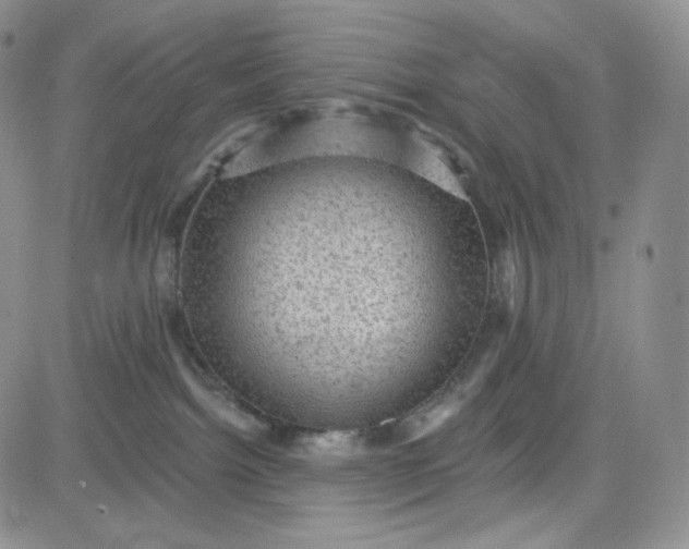 X0000083650092200702261127