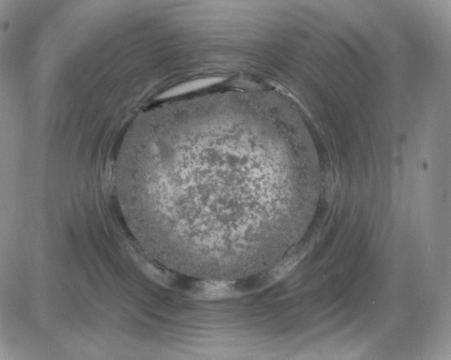 X0000083650093200702261127