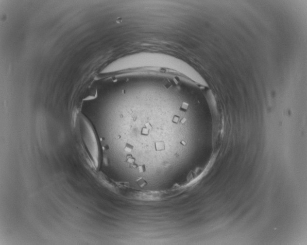 X0000083650094200702261127