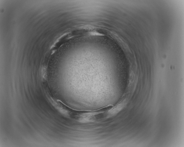 X0000083650096200702261127