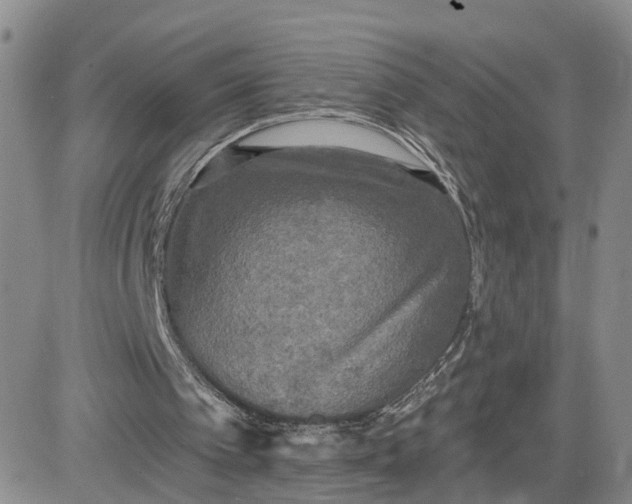 X0000083650097200702261126