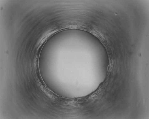 X0000083650098200702261126