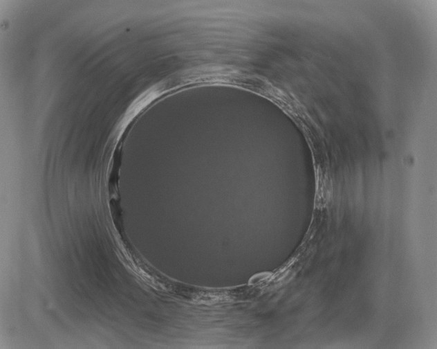 X0000083650099200702261126