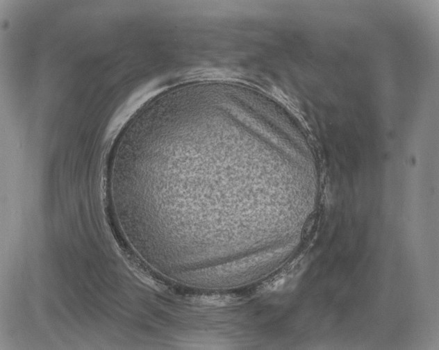 X0000083650103200702261126