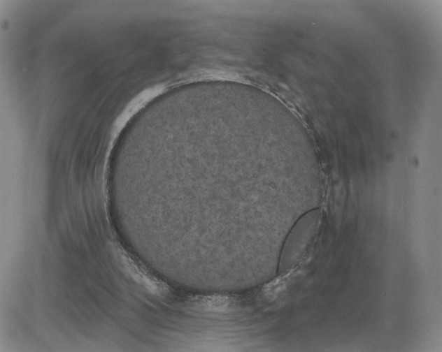 X0000083650104200702261126