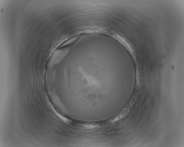 X0000083650105200702261126