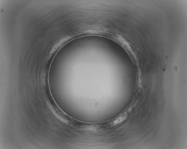 X0000083650106200702261126