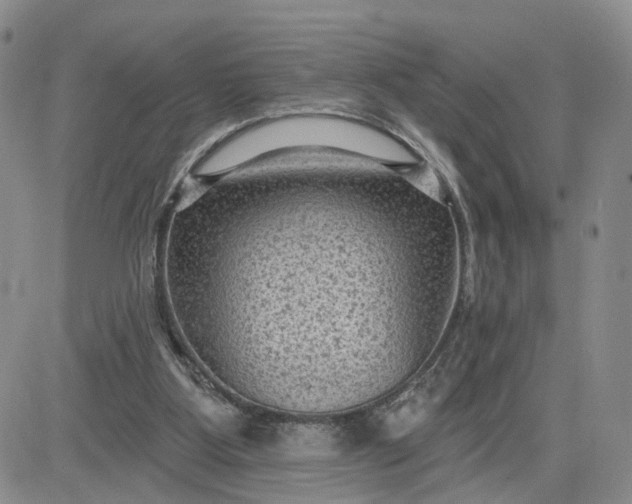 X0000083650107200702261126