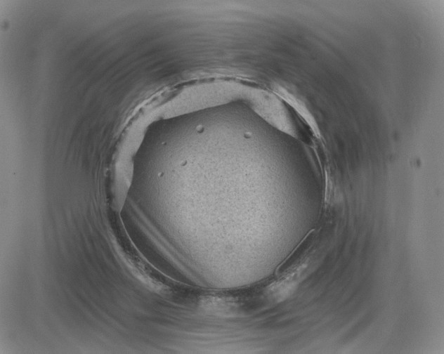 X0000083650109200702261126