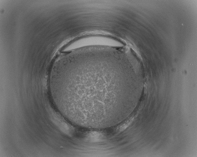 X0000083650111200702261126