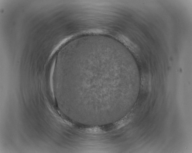 X0000083650112200702261126