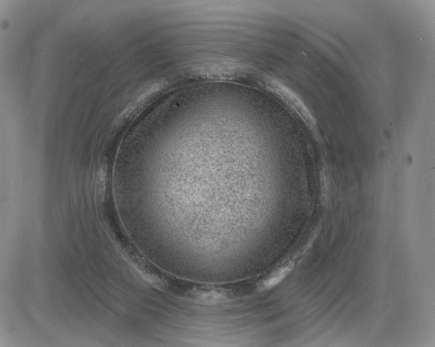 X0000083650113200702261126